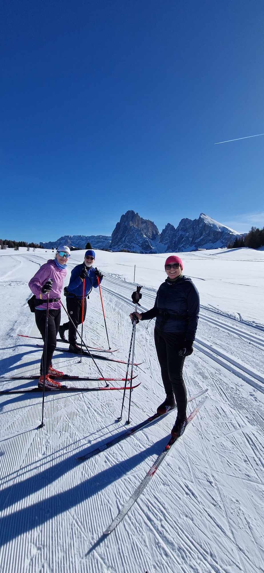 Skidåkning i solsken